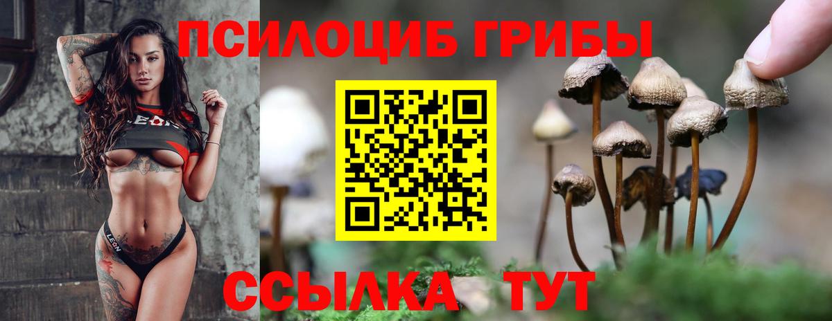 Псилоцибиновые грибы Cubensis  Вход с VPN  Сосновоборск 
